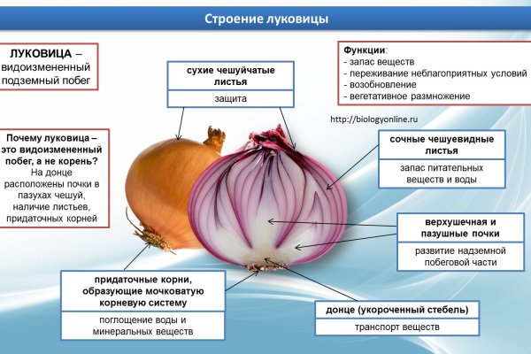 Кракен сайт сегодня