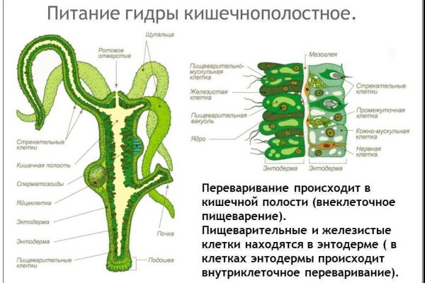 Ссылки даркнета