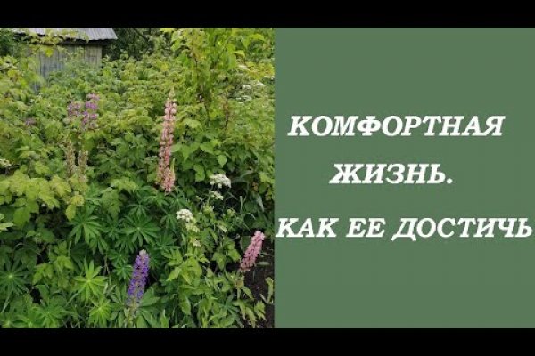 Официальная ссылка на кракен в тор