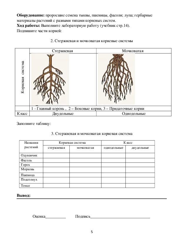 Почему кракен перестал работать
