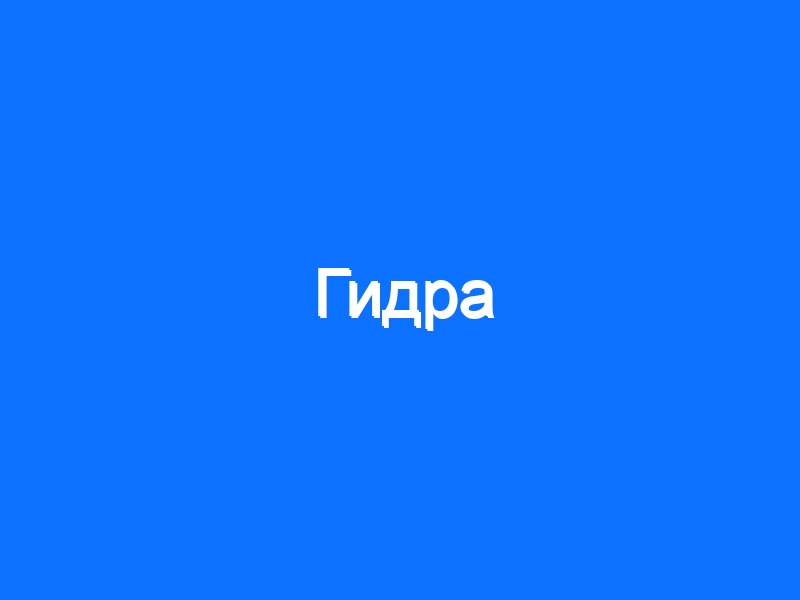 Kraken официальный сайт вход